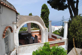 Dreaming Capri